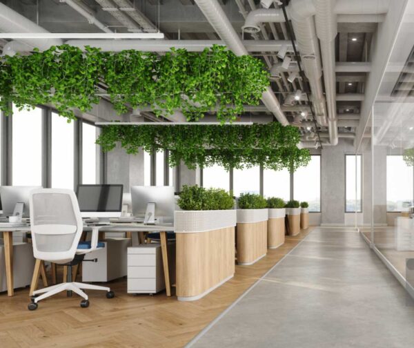 شتابدهنده نخبگان امید