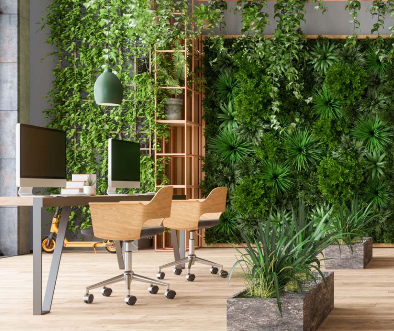 شتابدهنده امید